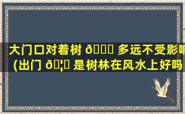 大门口对着树 🐞 多远不受影响(出门 🦄 是树林在风水上好吗)